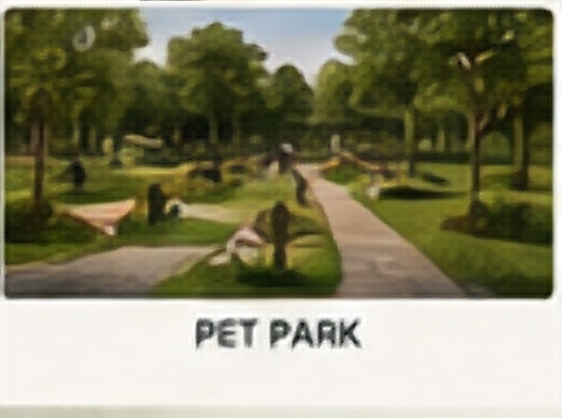 Pet park amenity concept