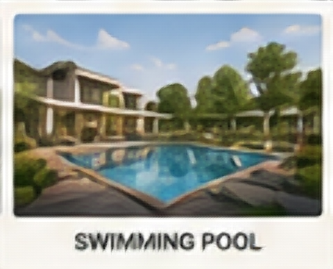 Landscaped swimming pool amenity concept