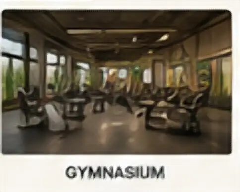 Residential gymnasium amenity concept
